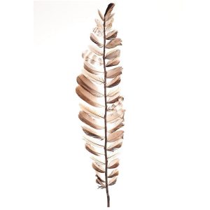 Κλαδί με πούπουλα Η100cm 012.862463000