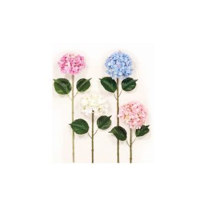 KΛAΔI OPTANΣIA 00.17.37012