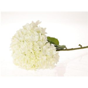 Κλαδί ορτανσία λευκή Φ30Η111cm 012.862391424