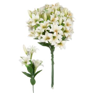 Κλαδί παρθενόκρινος 00.17.12105