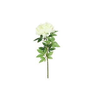 Κλαδί παιώνια λευκή Η73cm 013.811029