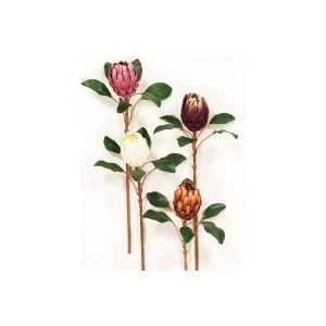 ΚΛΑΔΙ ΠΡΩΤΕΑ 00.17.37018