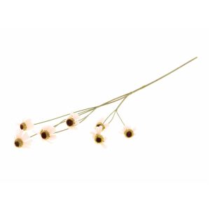 Κλαδί "Rudbeckia" ροζ H87cm 012.862646543