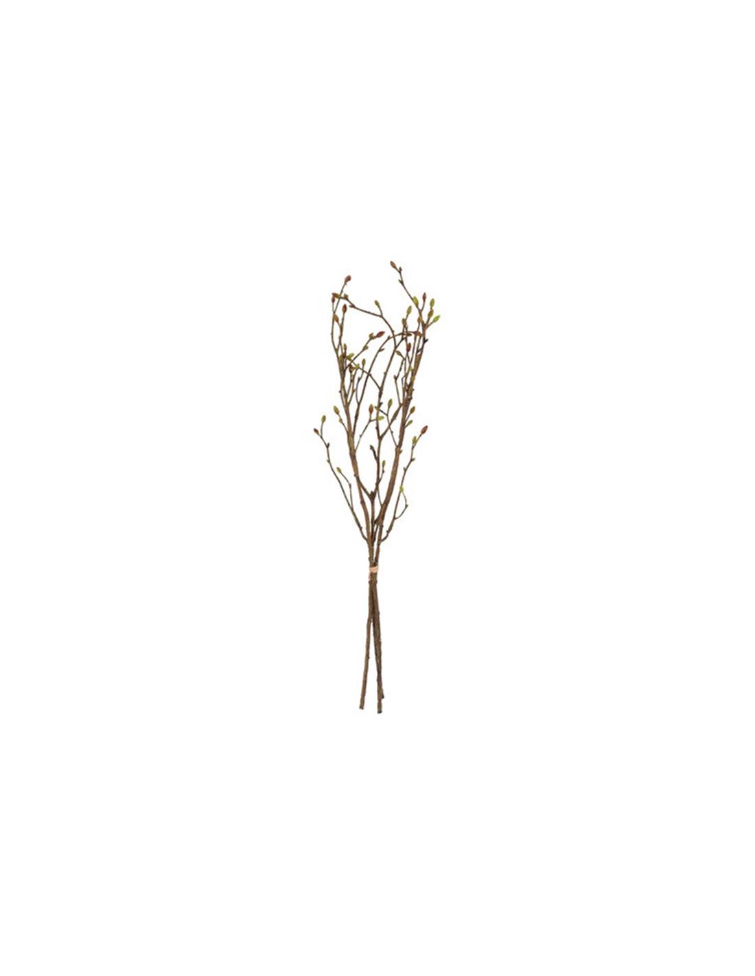 Κλαδί tilia 56εκ. 013.830381