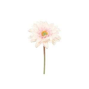 Κλαδί ζέρμπερα ροζ Η46cm 013.831260