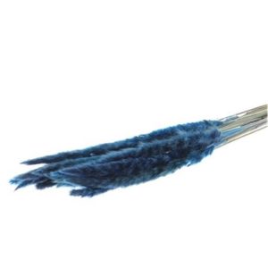 Κλαδιά Pampas 70gr μπλε 012.862291005