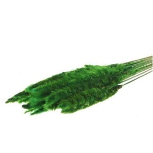 Κλαδιά Pampas 70gr πράσινο 012.862291003