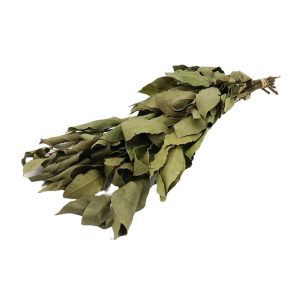 Laurier natural 012.312101306