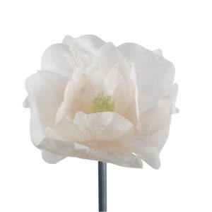 Λουλούδι Μανώλια 50x40cm 012.862681020