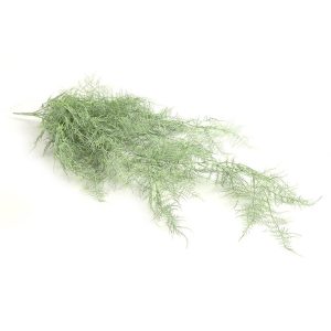 Monilophyta πράσινο παγωμένο Η105cm 013.780850