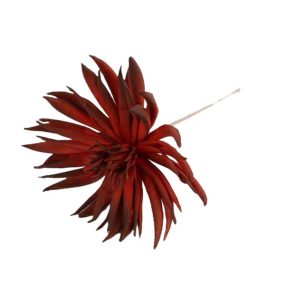 Monorda κλαδι κοκκ. 73εκ. 012.862192070