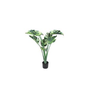 Μονστέρα σε κασπώ 100εκ. 013.804963