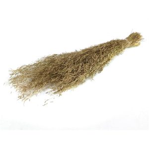 MUNNI GRASS 100GR NATURAL 012.912011049