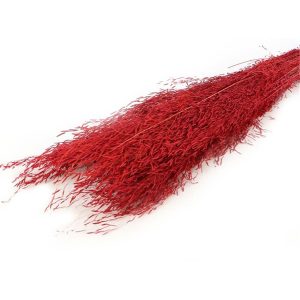 MUNNI GRASS 100GR RED 012.912011050