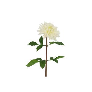 Ντάλια κλαδί λευκό 74εκ. 013.821293