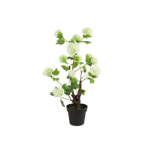 Ορτανσία λευκή σε κασπώ 85εκ. 013.780849