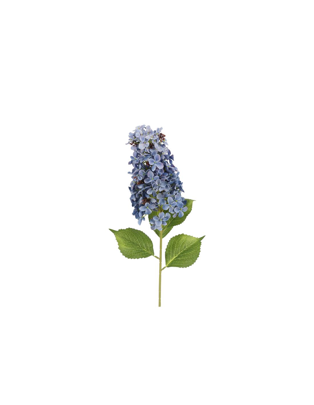 Ορτανσία Paniculata κλαδί μπλε 83εκ. 013.821891