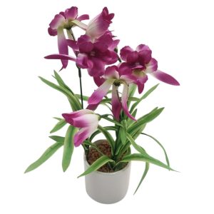 Ορχιδέα μωβ σε κερ.κασπώ 29εκ. 00.04.40056