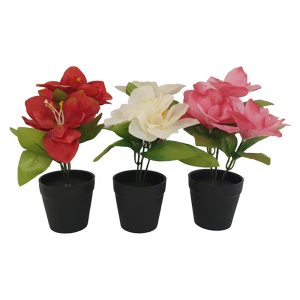 Ορχιδέα σε κασπώ 22εκ. 3χρ. 00.04.40017