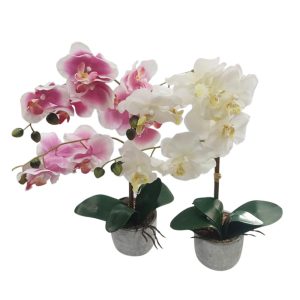 Ορχιδεά σε κασπώ 43εκ. 2χρ 00.04.40060