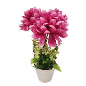 Παιώνια σε κασπώ 27εκ. 00.04.40069