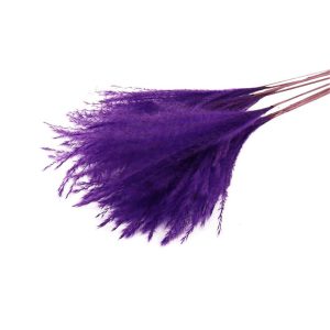 PAMPAS FLUFFY 10pc PURPLE 012.312100019