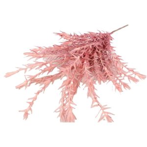 Panora kladi roz 126ek. 012.862192019