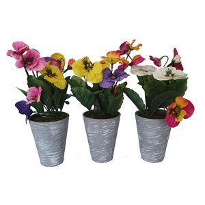 Πανσές σε κασπώ 25εκ. 3χρ. 00.04.40020