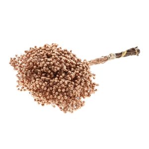 Pepperberrie μάτσο 012.312500064