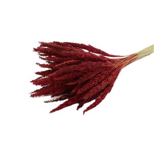 Pinion Grass Slv RED 012.312101129