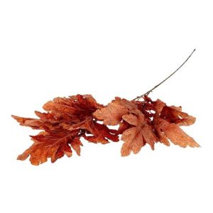 Πλατανόφυλλο κλαδί καφέ 105εκ. 012.852502112