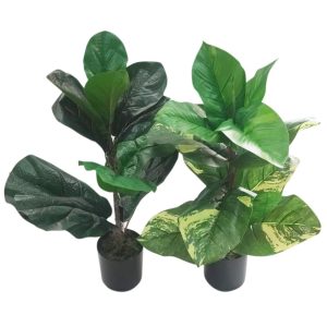 Πρασινάδα φυτό σε κασπώ 49εκ. 2σχ. 00.04.40061