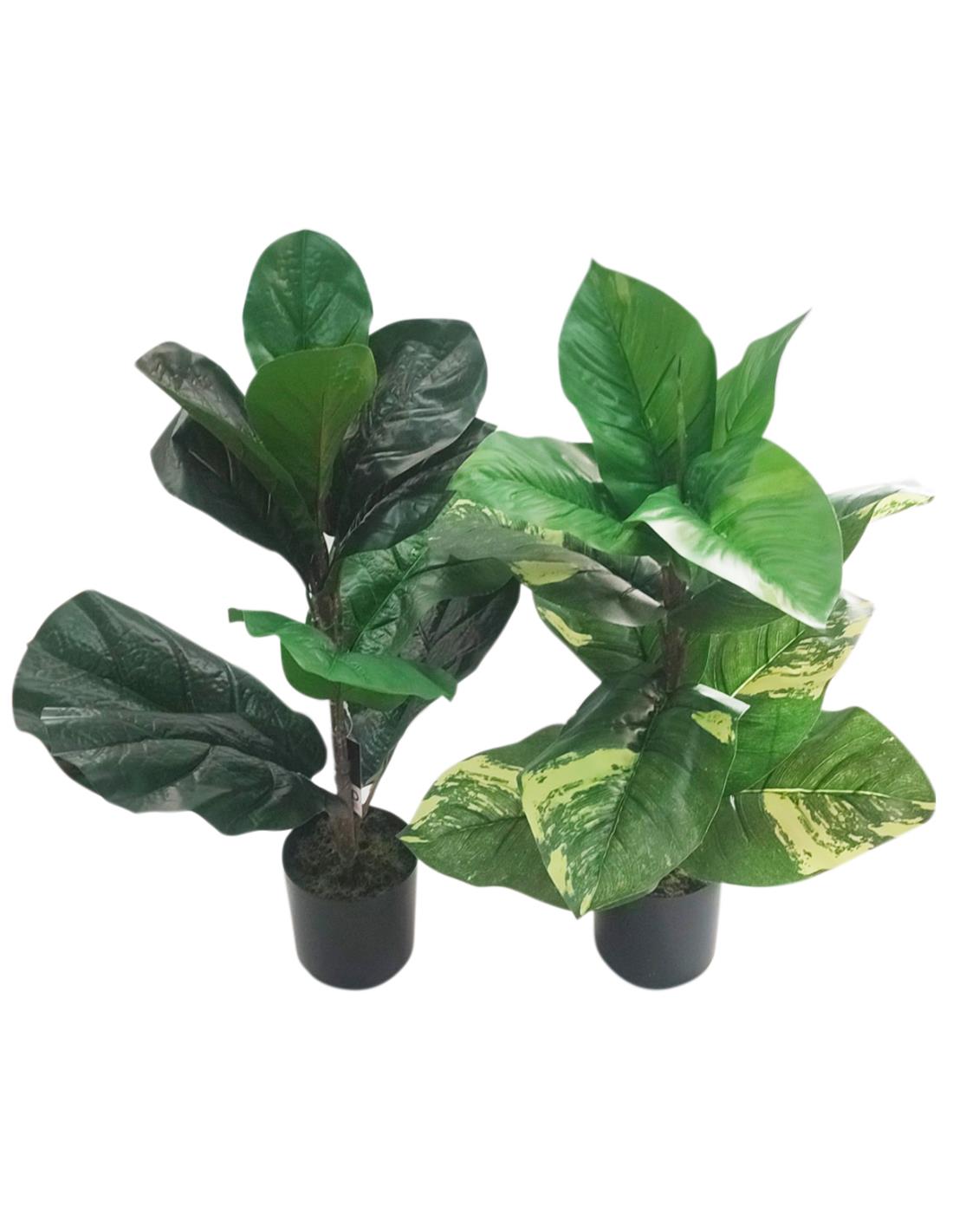 Πρασινάδα φυτό σε κασπώ 49εκ. 2σχ. 00.04.40061