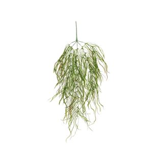 Πρασινάδα κρεμαστή 00.17.12168