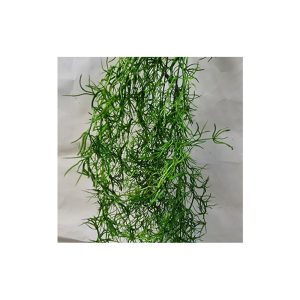 Πρασινάδα κρεμαστή 00.17.12172