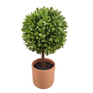 Πρασινάδα μπάλα σε κερμ.κασπώ 25εκ 00.04.40064