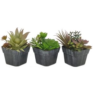 Πρασινάδα σε κασπώ 13εκ. 4σχ. 00.04.40004