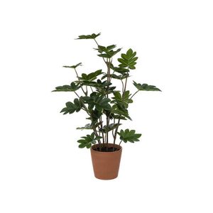 Πρασινάδα σε κασπώ philo 65εκ. 07.189101