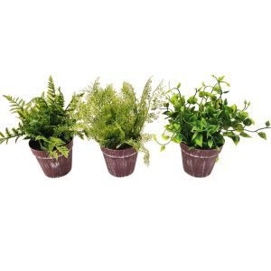 Πρασινάδα σε πλ.κασπώ 24εκ. 3σχ. 00.04.40065