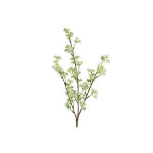 Prunus κλαδί λευκό 013.787157