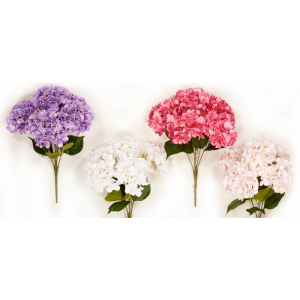 Ρίζα ορτανσία 49cm 00.17.22166