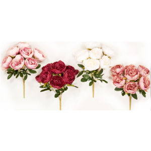 Ρίζα πεόνια 44cm 00.17.22157