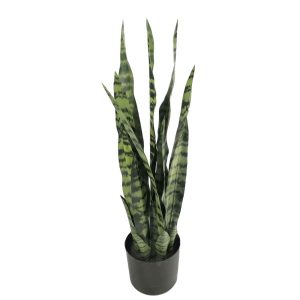 Sanseveria σε κασπώ Φ16Η68cm 012.862474011