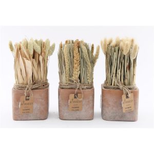 Στάχυ σε κασπώ  3σχέδια 10x10x29cm 014.FL1142