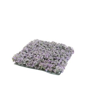 Τάπητας γρασίδι 25Χ25 00.04.4101