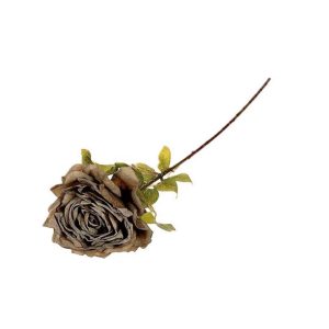 Τριαντάφυλλο Caprise πράσινο 65εκ. 012.852502124