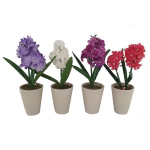 Ζουμπούλι σε κασπώ 4χρ. 23εκ. 00.04.40016