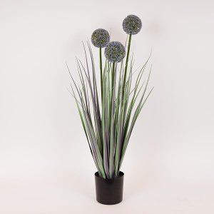 ΦΥΤΟ ΓΡΑΣΙΔΙ ΑΛΛΙΟ ΣΕ ΓΛΑΣΤΡΑ ΠΛΑΣΤΙΚΟ 80cm