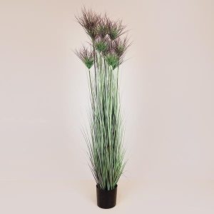 ΦΥΤΟ ΓΡΑΣΙΔΙ ΣΕ ΓΛΑΣΤΡΑ ΠΛΑΣΤΙΚΟ 183cm