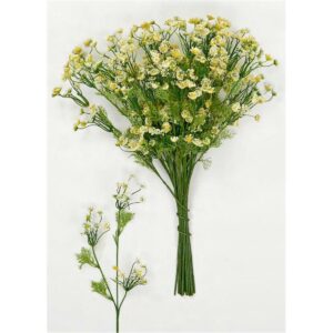 Κλαδί μάραθος - Box In Θεσσαλονίκη - 25ης Μαρτίου 111